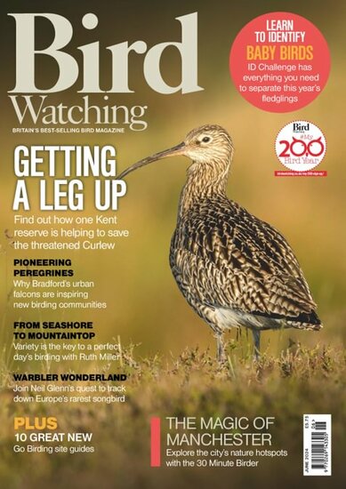 Bird Watching (UK) Magazine