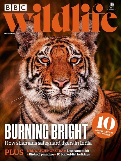 BBC Wildlife Magazine