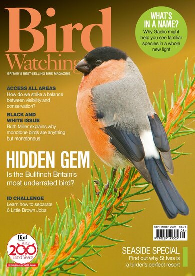 Bird Watching (UK) Magazine