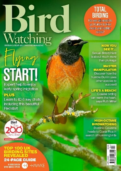 Bird Watching (UK) Magazine