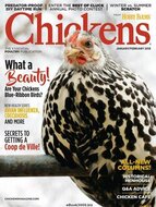 Chickens Magazine