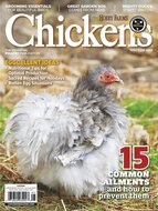 Chickens Magazine