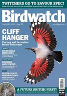 Birdwatch Magazine