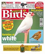 Cage &amp; Aviary Birds Magazine