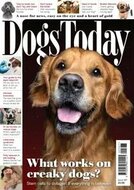 Dogs Today Magazine