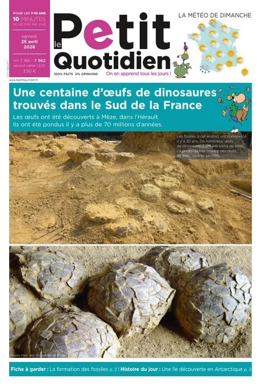 Le Petit Quotidien (French)