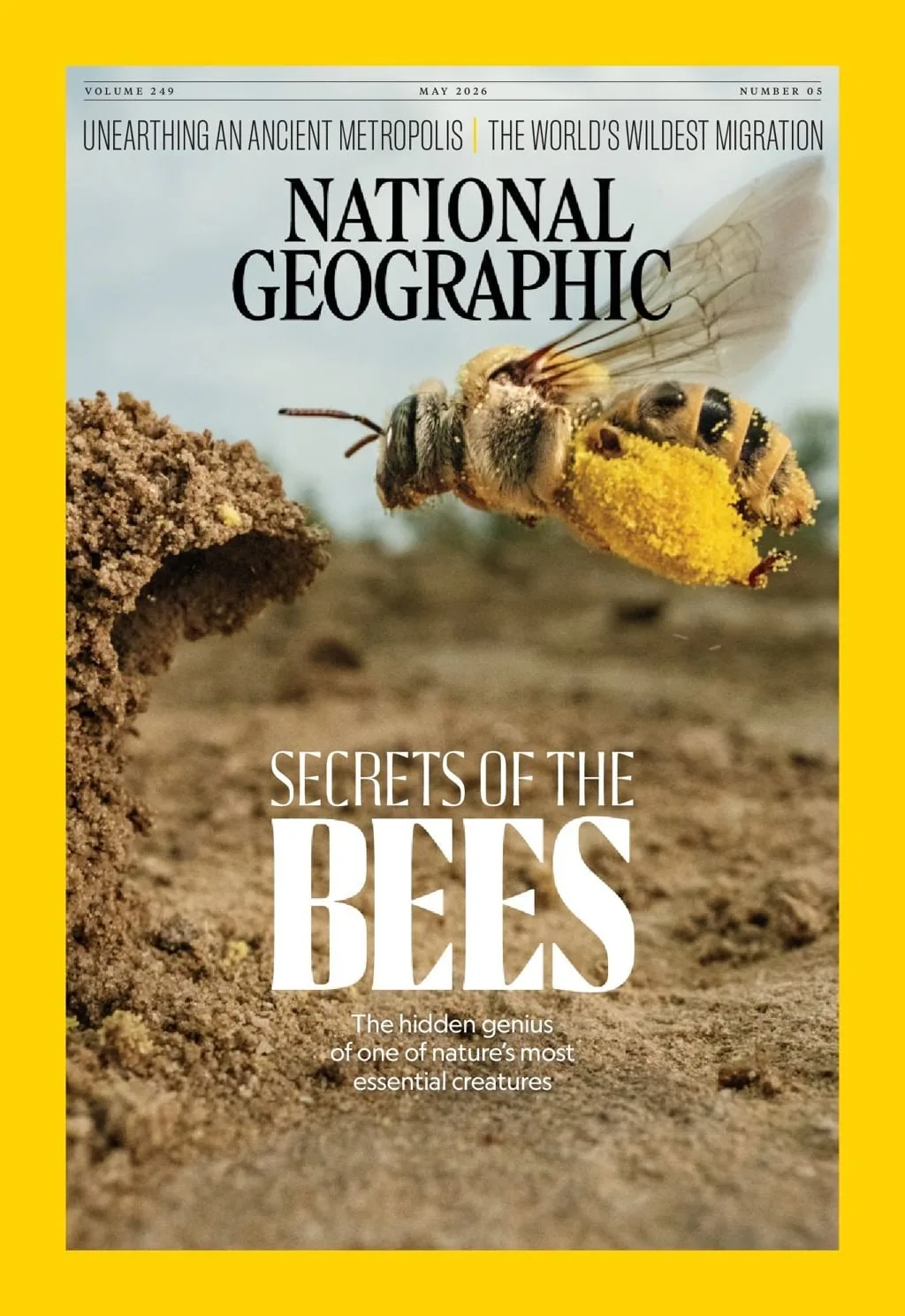 National Geographic (English Edition) Magazine