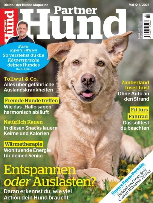 Partner Hund (German)
