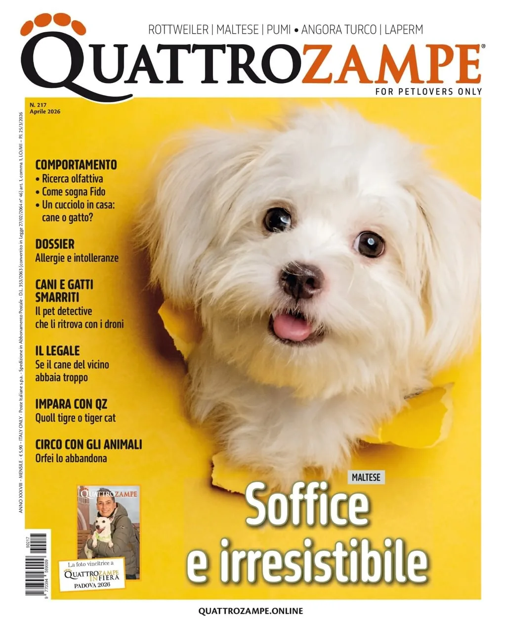 Quarter Horse Journal (German)